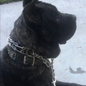 Meet your Posher, Fred